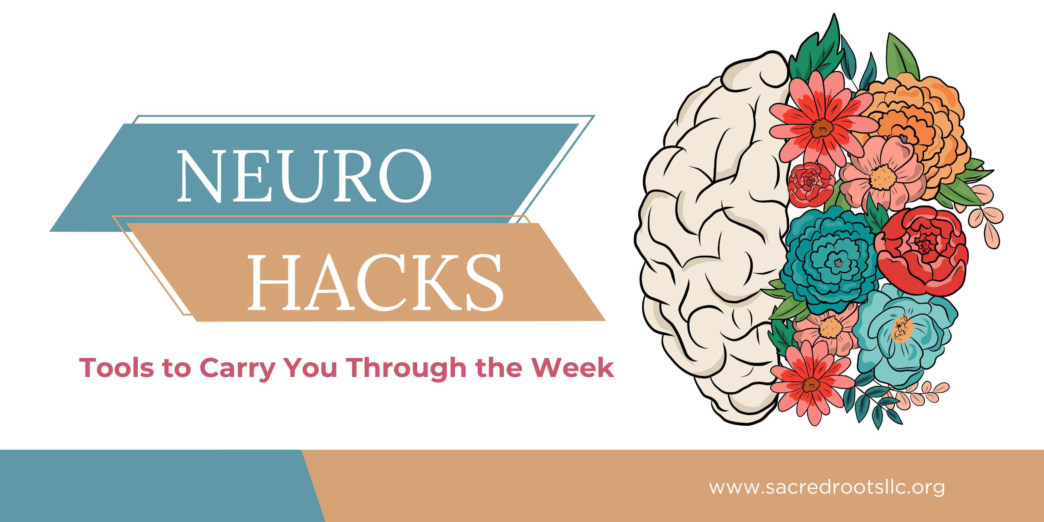 Unlock Your Brain: Matching Letters To Sensory Areas! - 5ww13qc